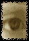 SEENWEB