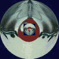 Trichteranima